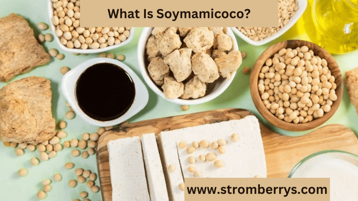 What is Soymamicoco? How should it function properly?